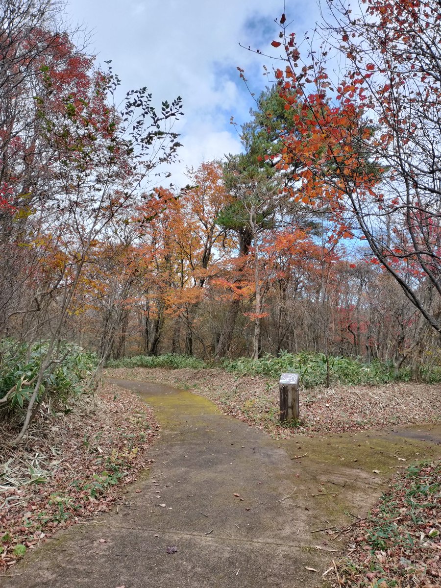 那須平成の森 on X