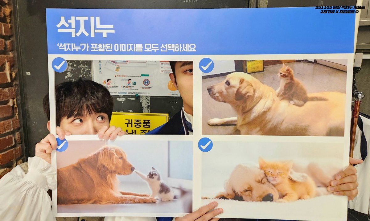 mybabyrep_zzang's tweet photo. 251105 뮤지컬 < 윌리엄과 윌리엄의 윌리엄들 > 
이석준 이진우 페어 서포트 🪶

*+:｡.｡ 석지누와 함께라면 모든 게 완벽할 테니｡.｡:+*

         へ   ♡    ︵
    ૮  -   ՛ )   ૮(`ᴥ ⁻ 𑁬
      /   ⁻  ៸|      |    ⸝ 〵
乀 (ˍ, ل ل     じしˍ,  )୭ https://t.co/p5wqL2rzep