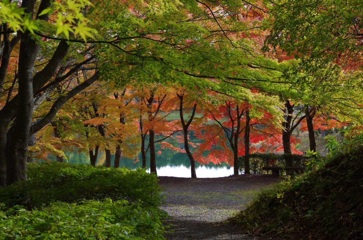 ☆753☆ (@snowman753) / Posts / X