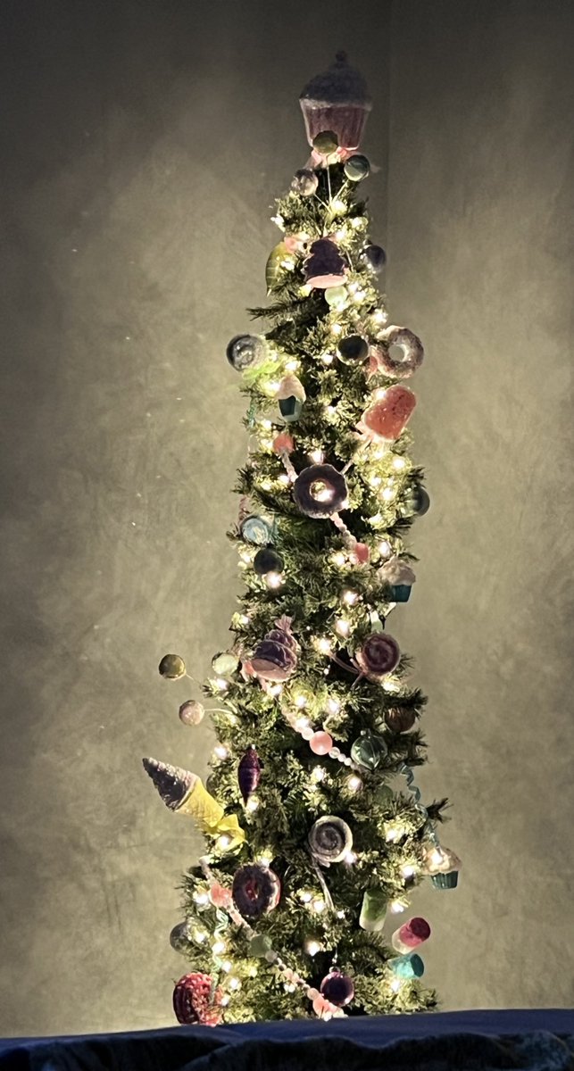 It’s the most wonderful time of the year 🎵… there is just something about laying in the bed at night with the twinkle of a Christmas tree! 🎄🍬🍭🧁💖