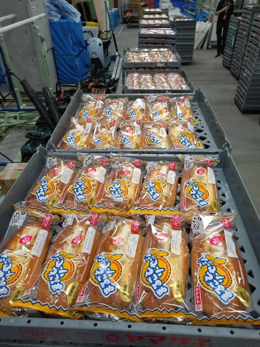 はなぞうです(´◡` )♩ いしのい👟💛☀ on X