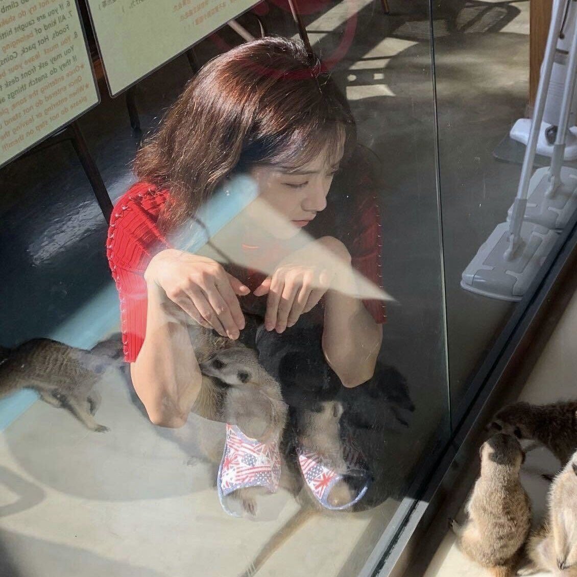 암더체리피스 tweet media