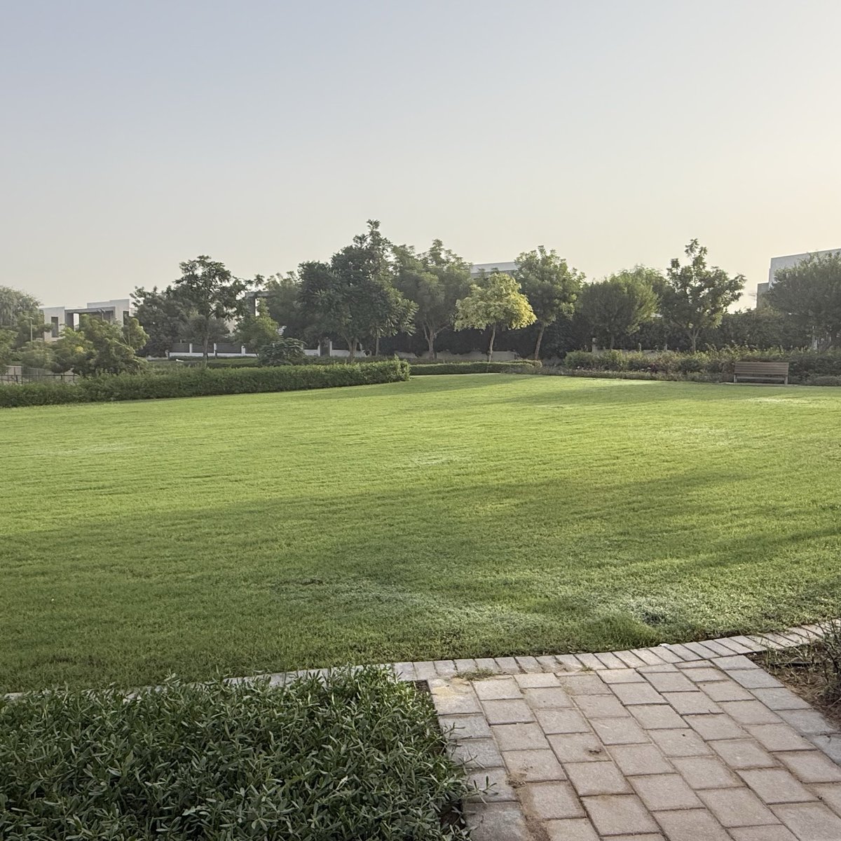 ✨Shubhra✨💫 | 𝔽rAI tweet media