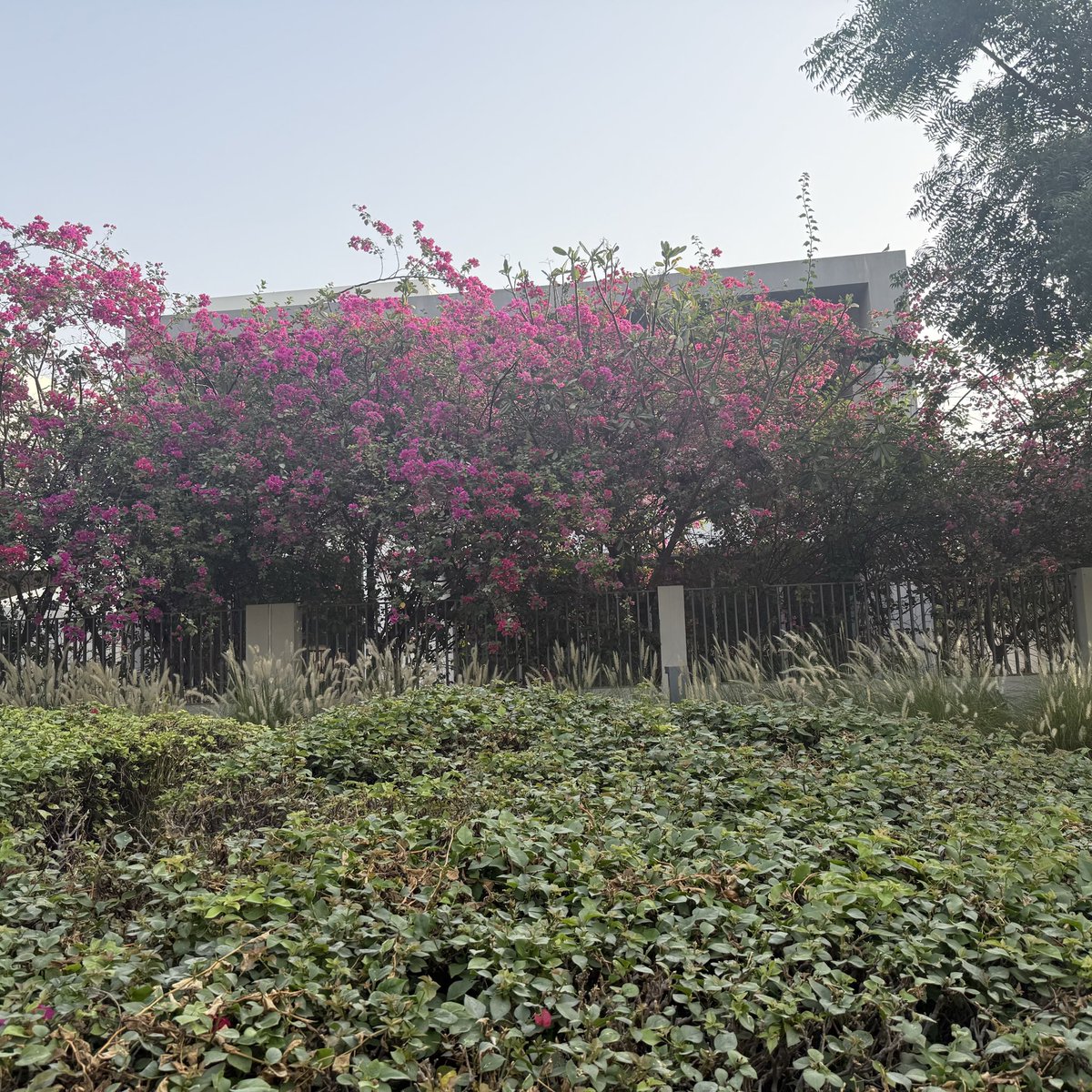 ✨Shubhra✨💫 | 𝔽rAI tweet media