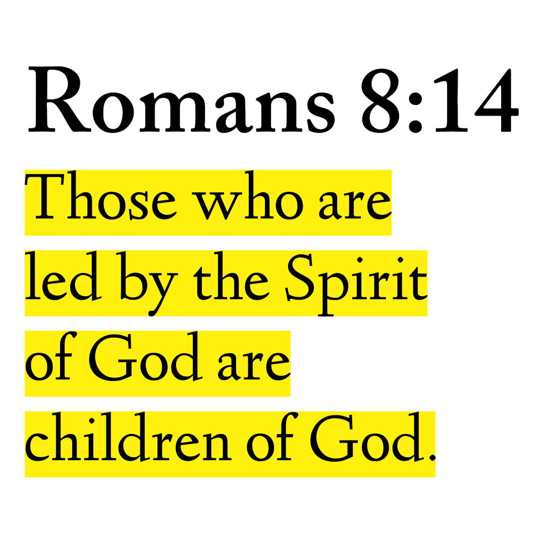 Holy Bible tweet media