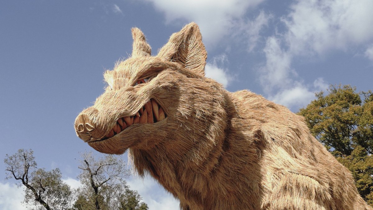 救命！需要给固执的伯恩山犬的建议: r/bernesemountaindogs, image size:1200x677