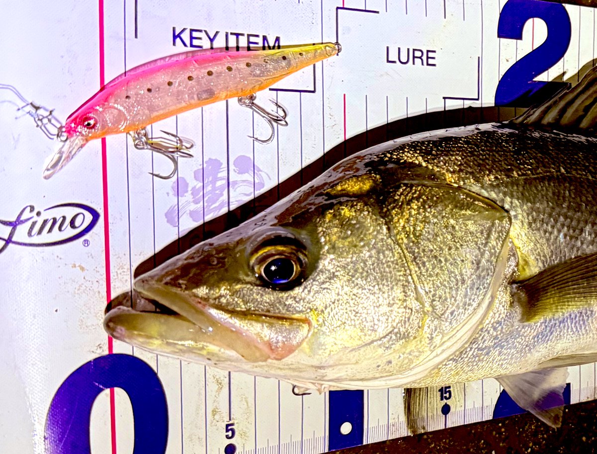 青い湖面 91cm×122cm ES9363-50N: CITIZEN | シチズンウオッチ オフィシャルサイト