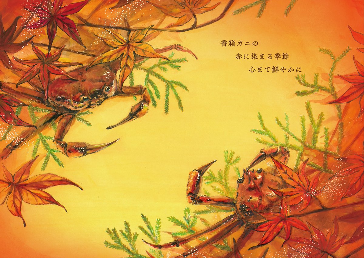 日本広告制作協会 tweet media