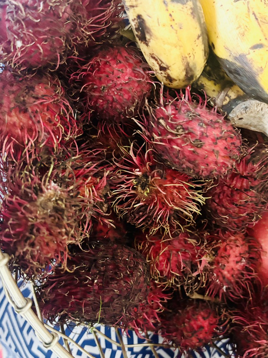 Yapi's tweet image. このフルーツ見た事ある？😙