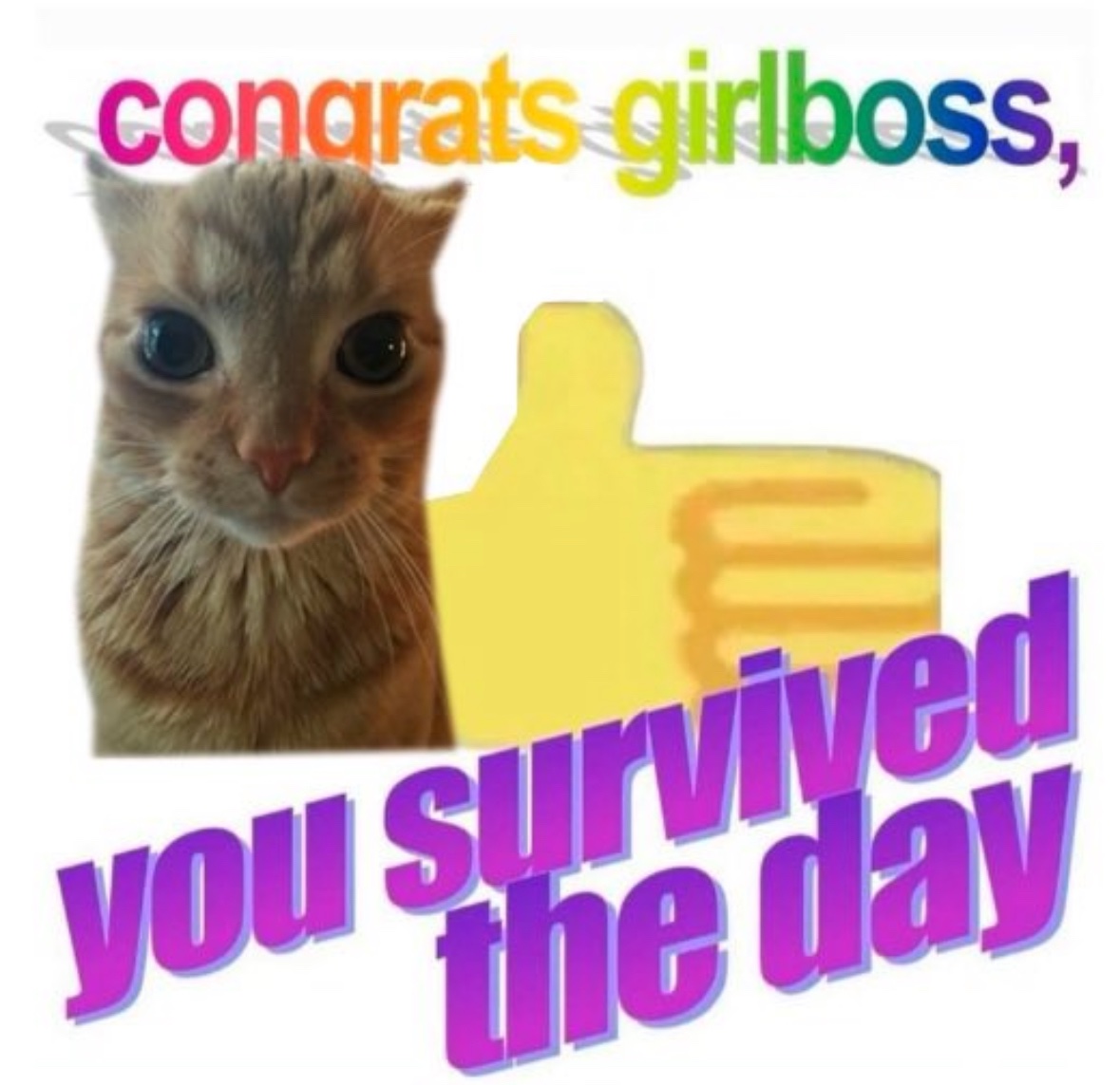 RespectfulMemes's tweet image. 