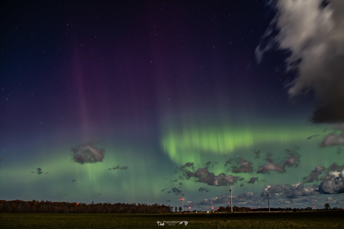 Alex Masse tweet media