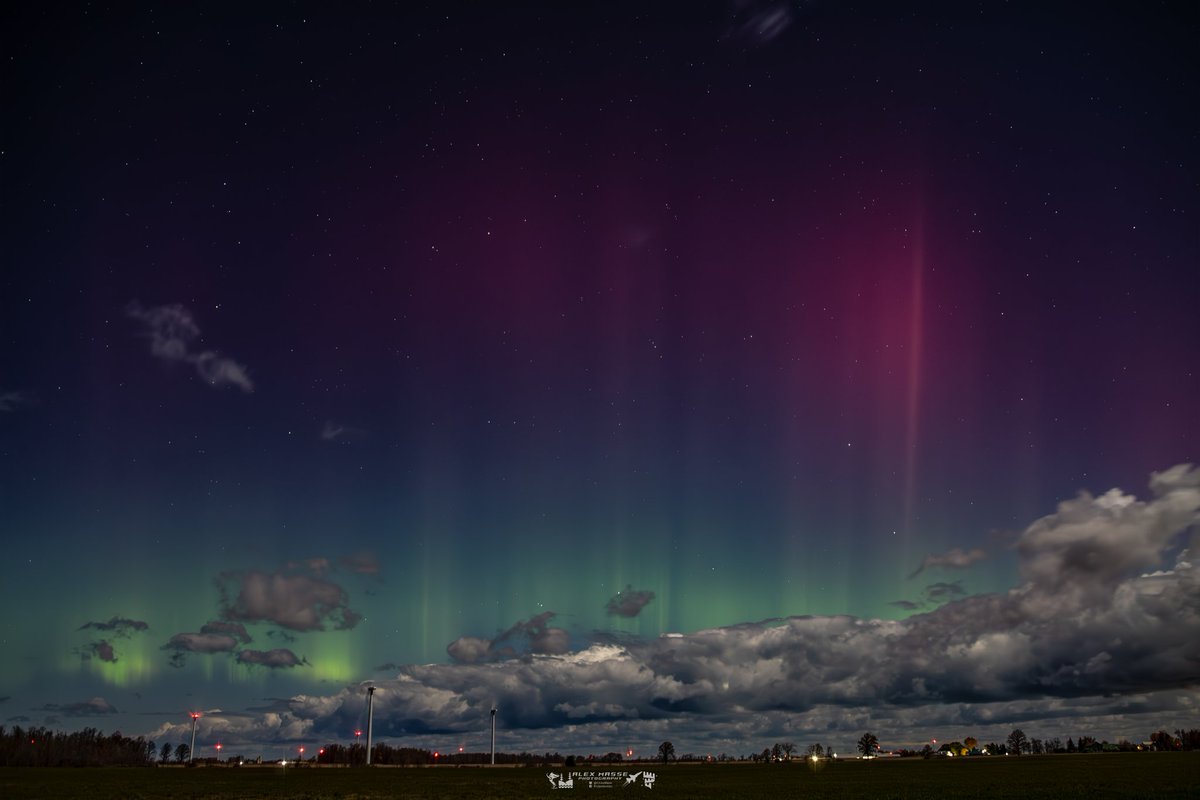 Alex Masse tweet media