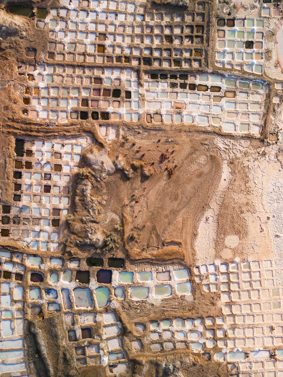 ✨خور الملح بولاية #قريات بمحافظة #مسقط 🇴🇲 .. حكاية تُخلّد صناعة الملح الطبيعي على يد الآباء والأجداد.