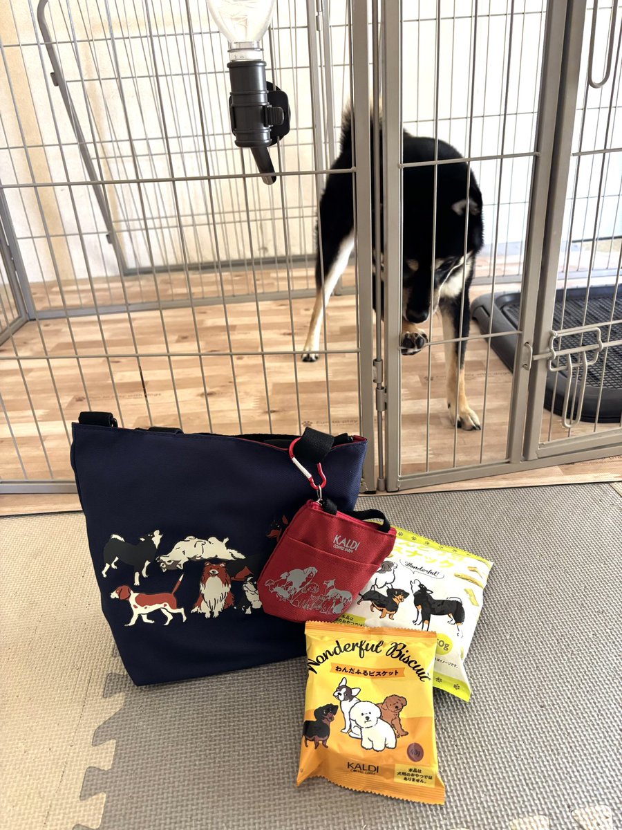 渋い顔の犬➰金属製 めちゃ重 おこげ on X