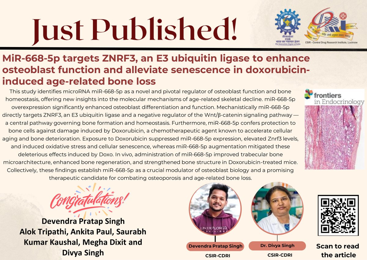 cdriacademy's tweet image. #JustPublished from Dr. Divya Singh’s group @CSIR_CDRI  in Frontiers in Endocrinology!
miR-668-5p enhances osteoblast function &amp;amp; protects against doxorubicin-induced bone loss by targeting ZNRF3—a key regulator of Wnt/β-catenin signaling. 🦴
Lead author: Devendra Pratap @DevPS23