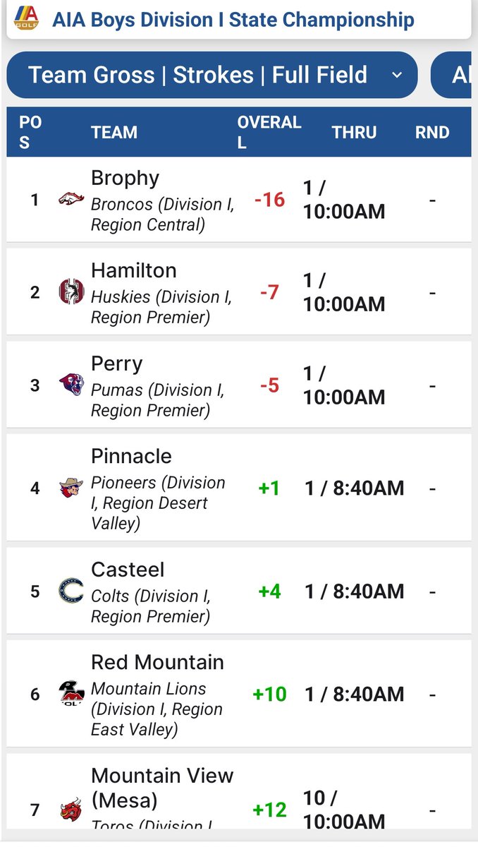 AIA DIVISION I  BOYS STATE CHAMPIONSHIP - RESULTS DAY 1....