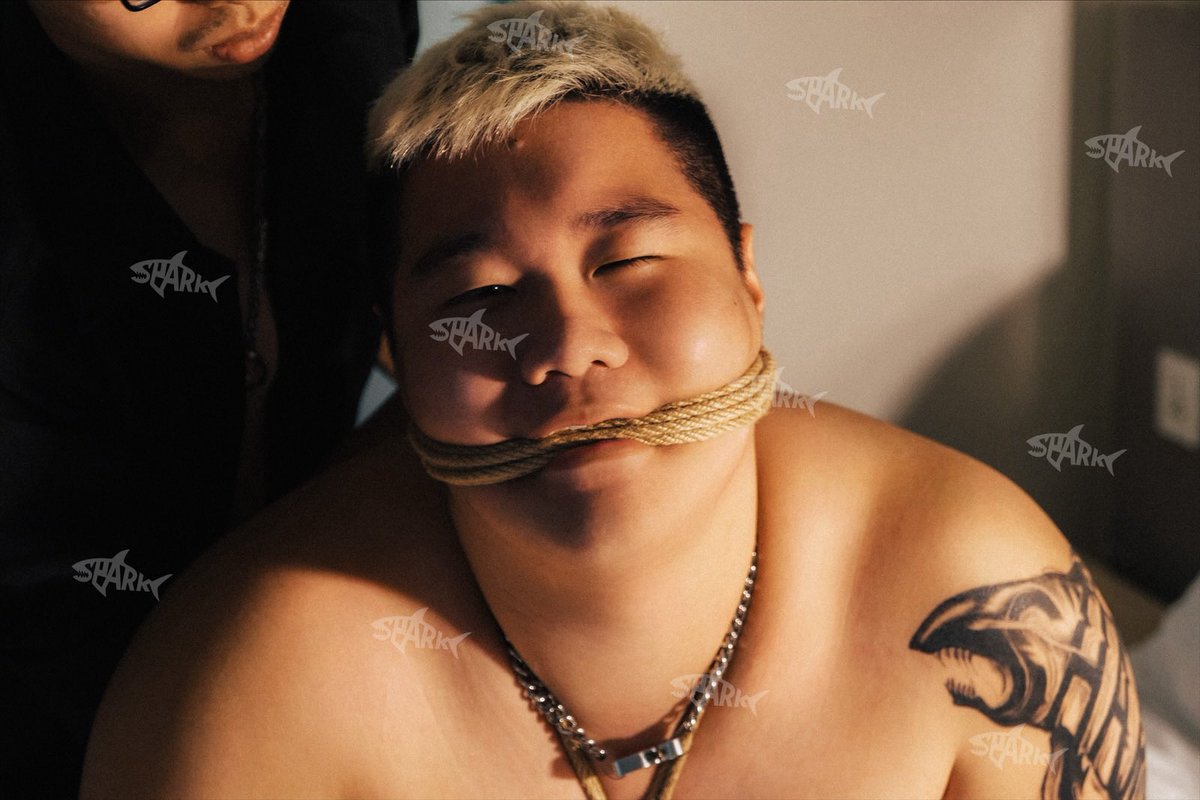 𝕾𝖍𝖆𝖗𝖐鯊魚🦈🐻 tweet media