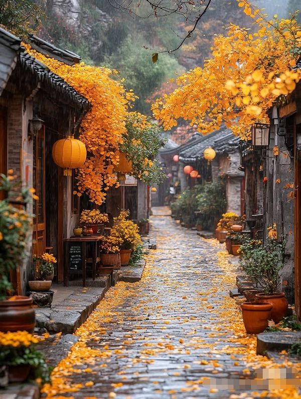 XIULAN19's tweet photo. 💛🧡🍂🍁
秋天的色彩 https://t.co/bPafr8OgtA