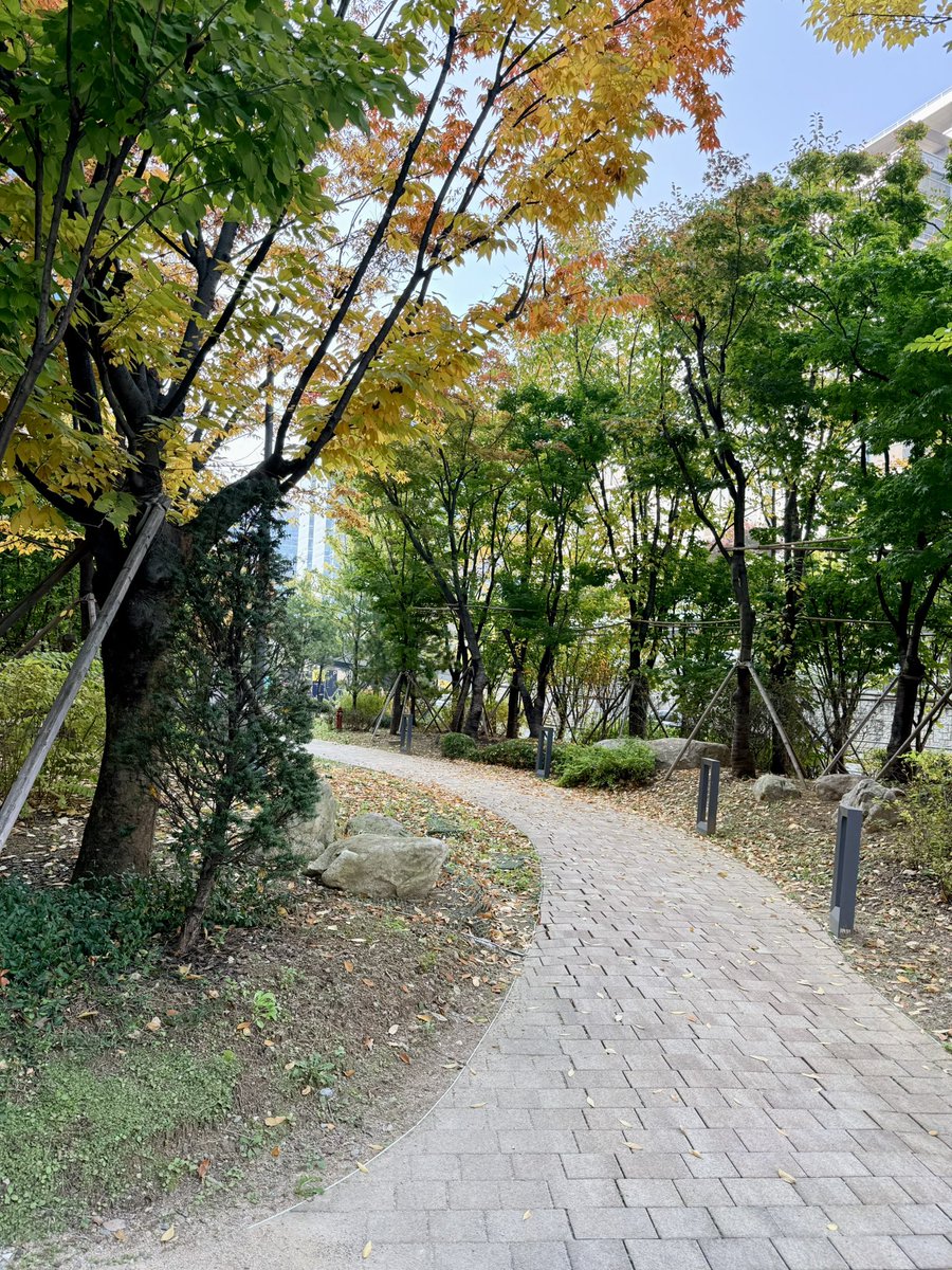 점심 먹고
가을 산책 🍂🍁