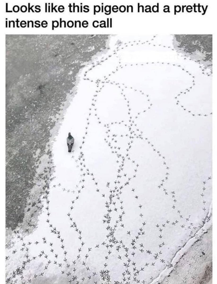 Bilbo Baggins (@jbanklestankle1) on Twitter photo 