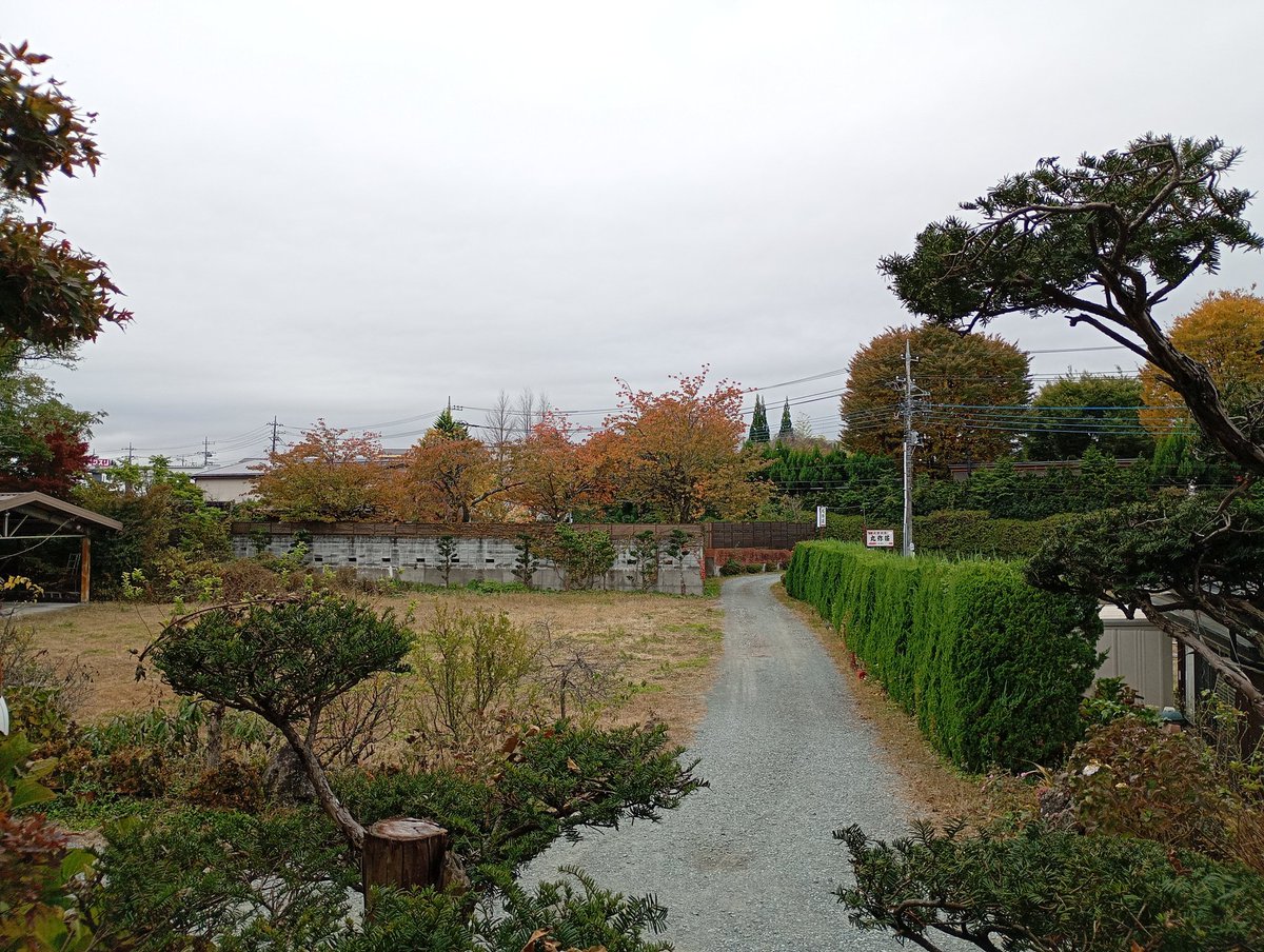 僕きぃㄘゃԽ☆心不全なポンコツ店主 (@888ysn) / Posts / X