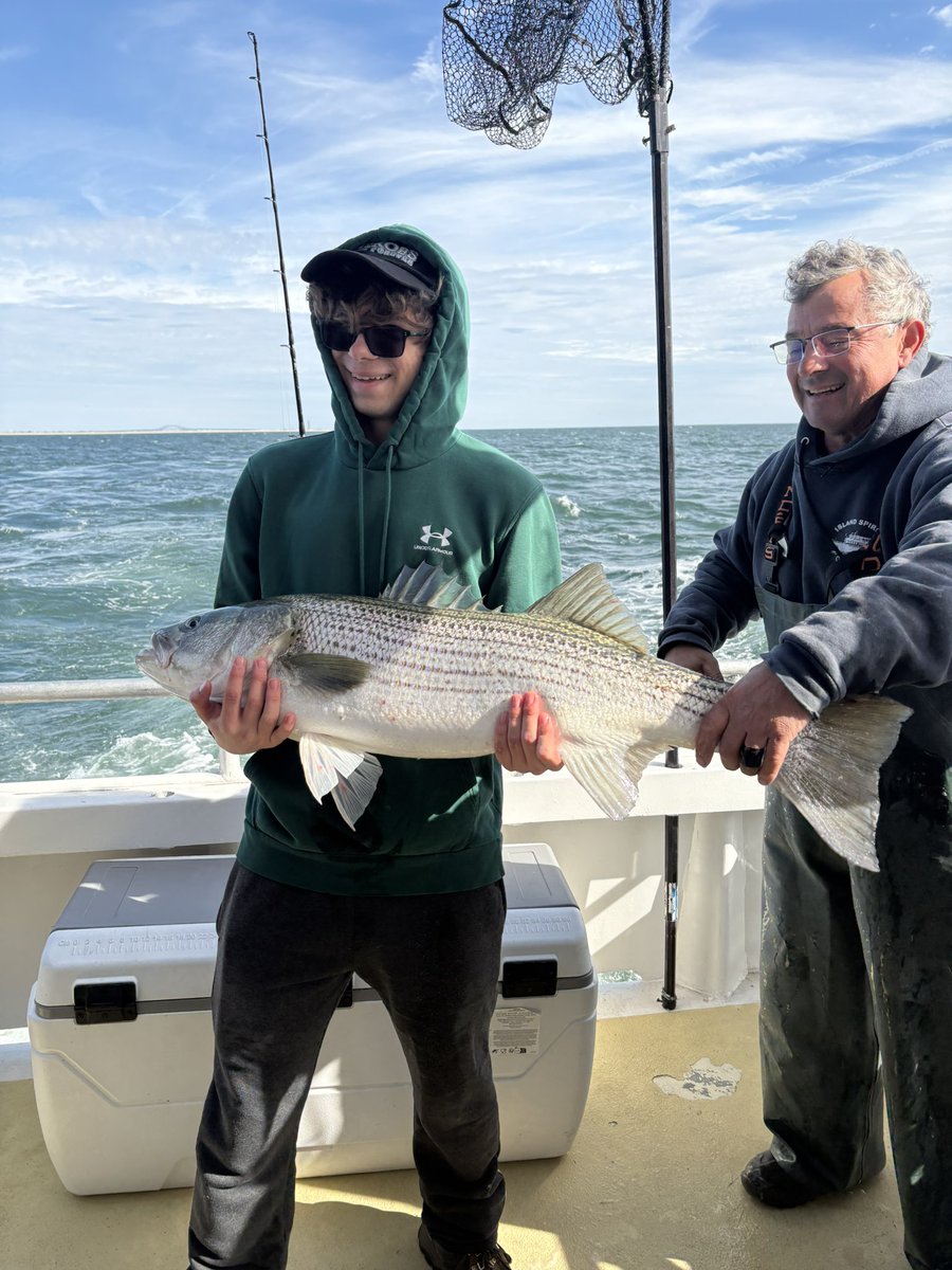 Lauren Neckin tweet media