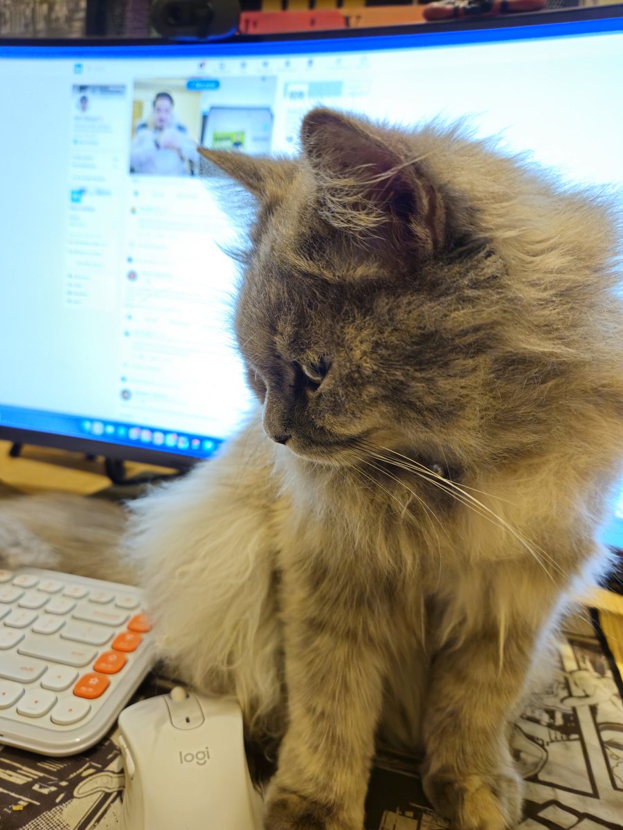 This mf randomly jumps on my desk and blocks 50% of my screen :(

What should I do?