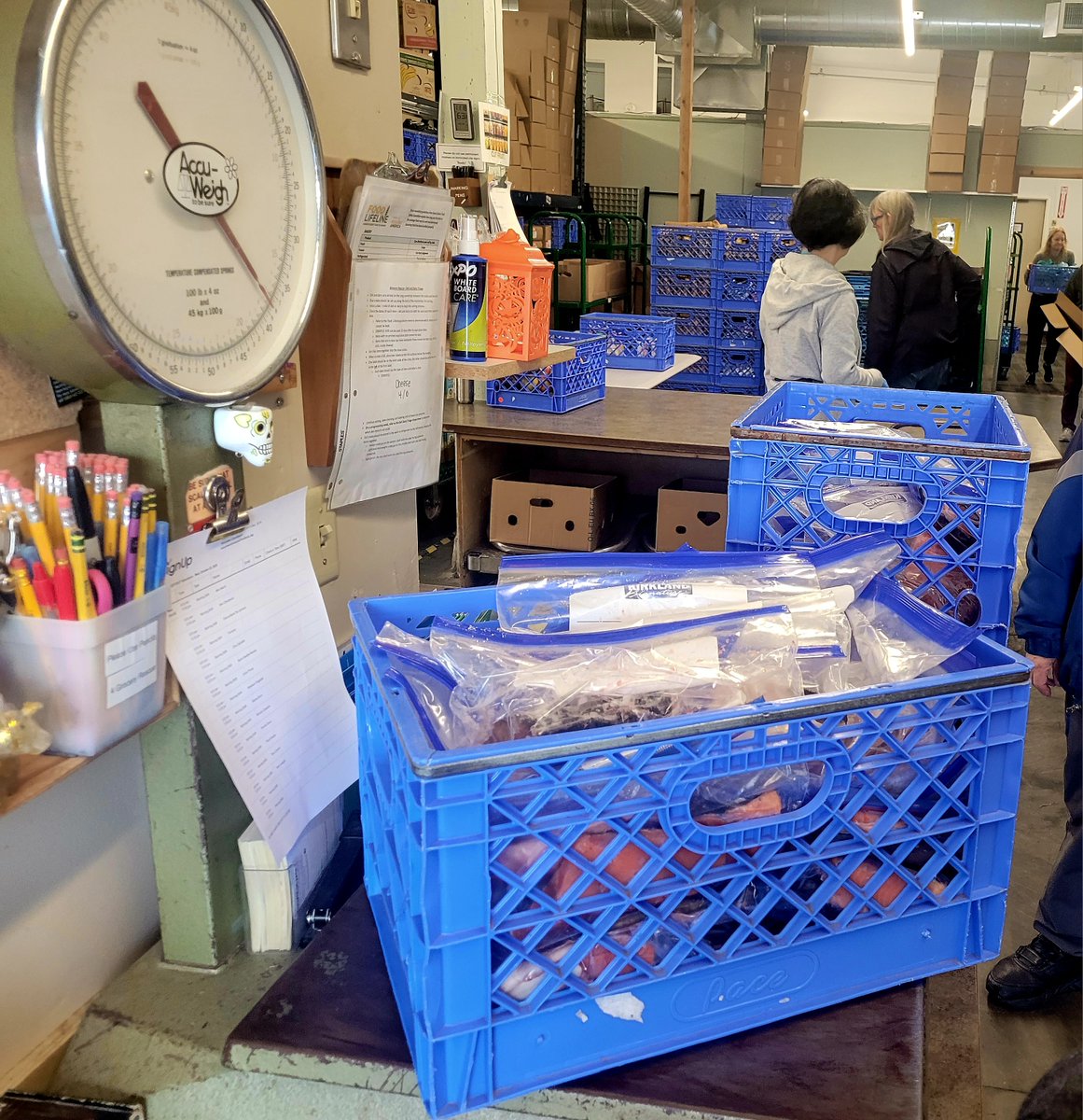 FISH Wrap - Salmon! October 2025 - mailchi.mp/da41479911b0/f…