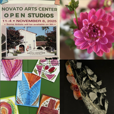 VisitNovato's tweet image. Creativity runs deep in Novato 🎨 Join us this weekend for the Novato Holiday Open Studios with 30 local artists &amp;amp; makers! Find one-of-a-kind gifts 🎁 #VisitNovato ow.ly/Kmf850XnwL1