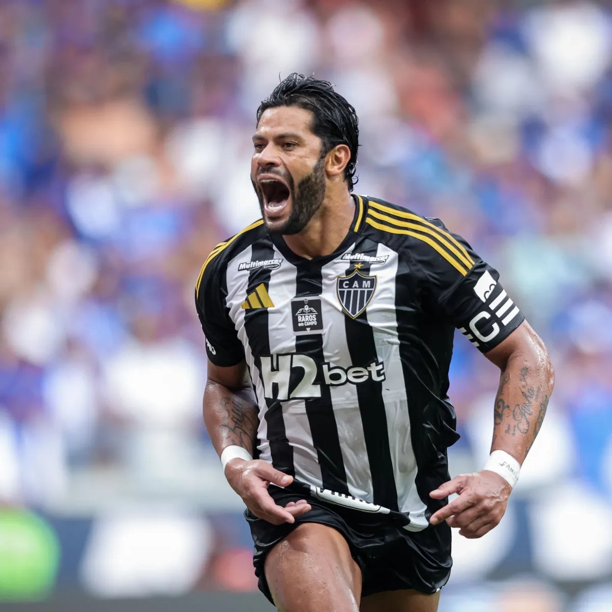 teusguimar's tweet photo. 500 VEZES 

Hulk Paraíba. Um dos gigantes da história do futebol brasileiro. 

500 gols na carreira. Um monstro. Artilheiro. Incontestável. https://t.co/vOms8LilQO