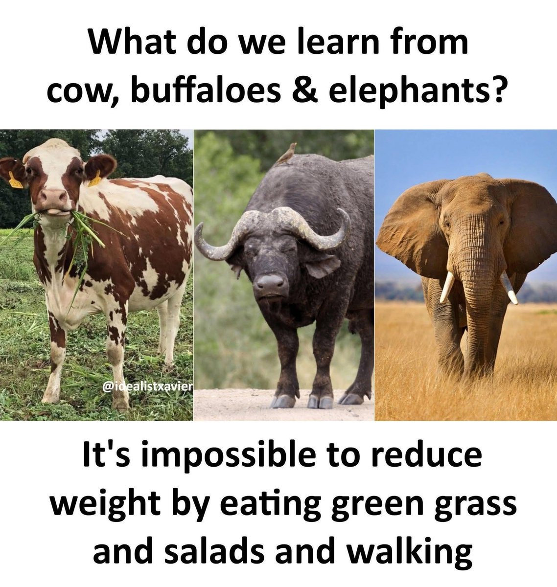 BazzaCC's tweet image. There goes my diet 🤪🤪🤪🤪