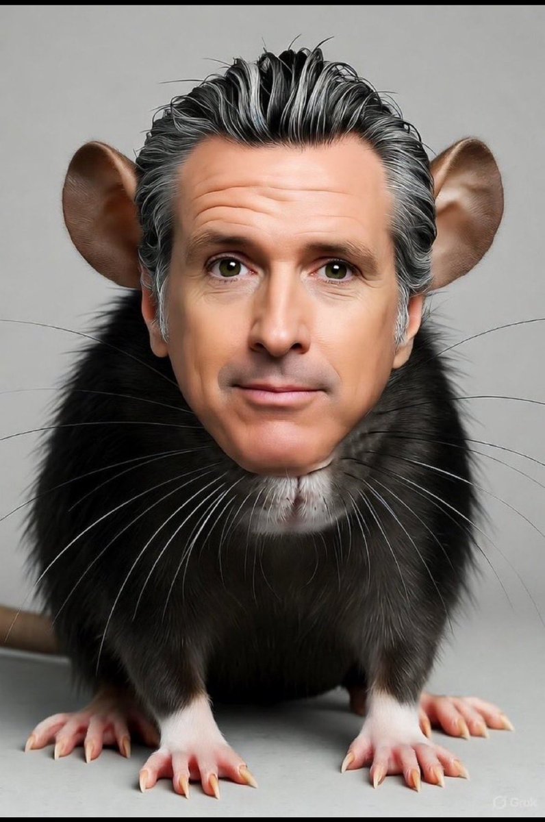 beamen8's tweet photo. @GavinNewsom https://t.co/6sztr0w83T