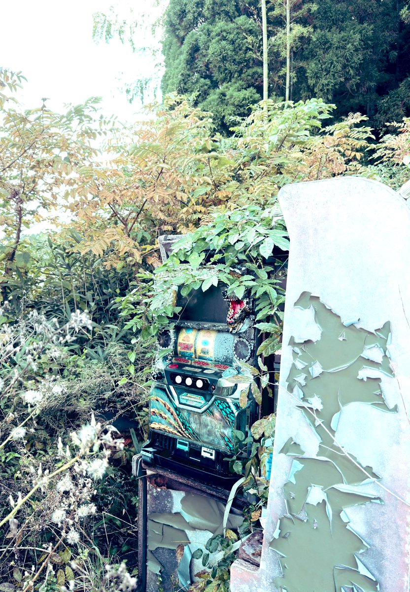 K/七(ケ~ヒチ) (@EnbVe) / Posts / X K/七(ケ~ヒチ) (@EnbVe) / Posts / X