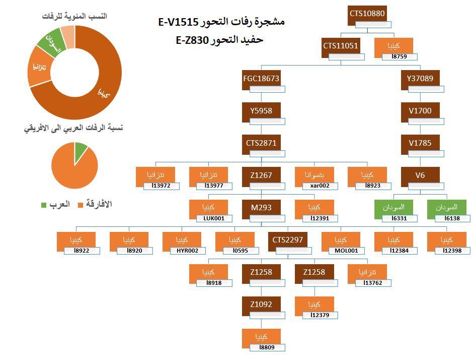 قاشر tweet media