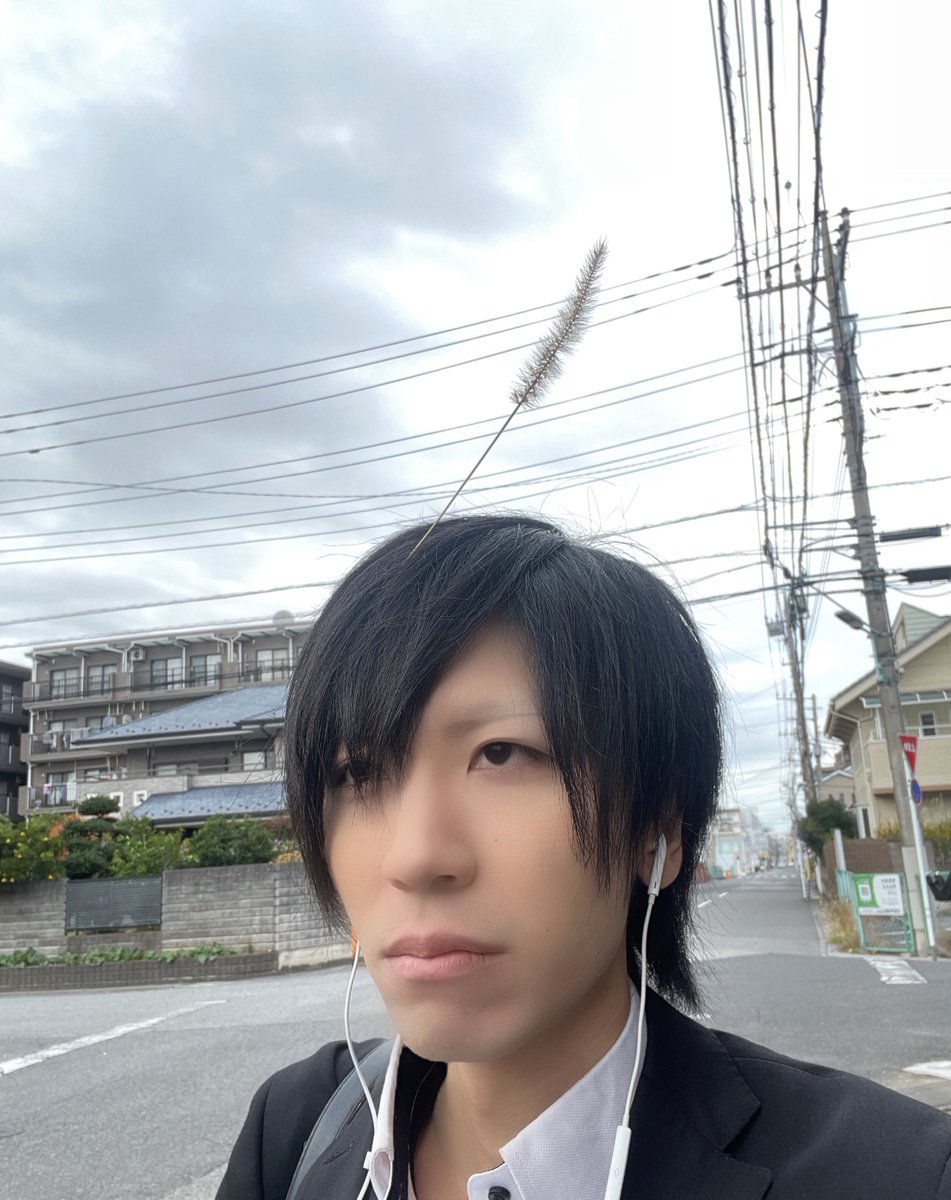 ☆ケンさま☆ 将軍けんさま【SHOGUN KENSAMA】👁️ (@shogunkensama) / Posts / X