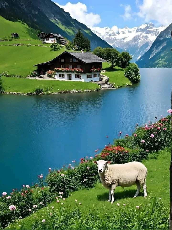 जहां पेड़ और पानी साथ हो... वहां हरियाली अपने आप आ जाती है।

 जीवन भी यही है,

जहां मन की सरलता और परिवार के संस्कार हों वहां जिन्दगी में हरियाली आती है। 

Good morning friends!