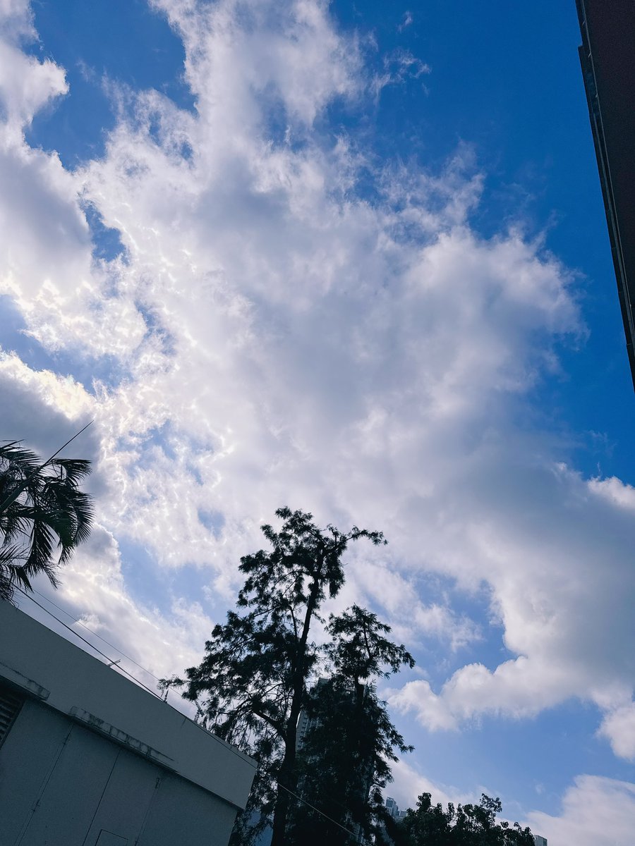 都会って空狭いよね🤣