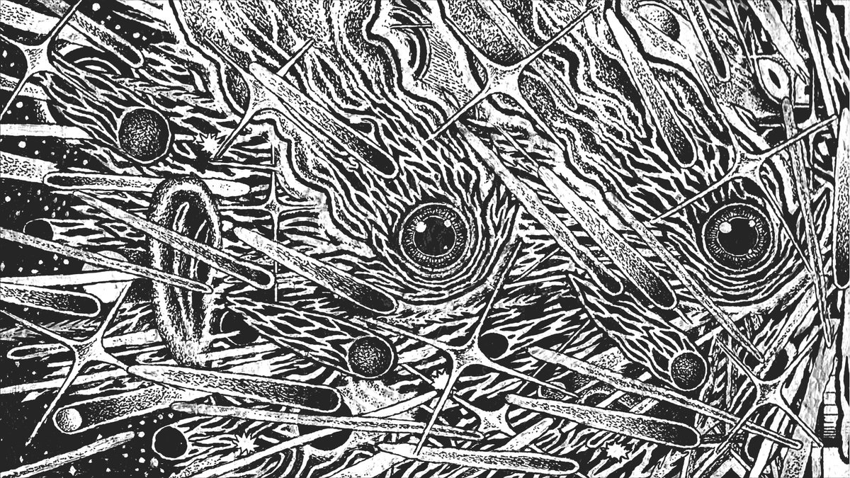 Jake Fried (@jakejfried) on Twitter photo 