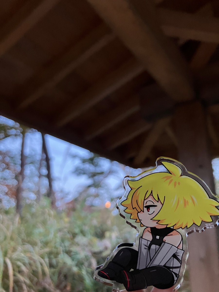 chocorax3's tweet photo. お月さまおやすみなさい https://t.co/l8UJoSZgY0