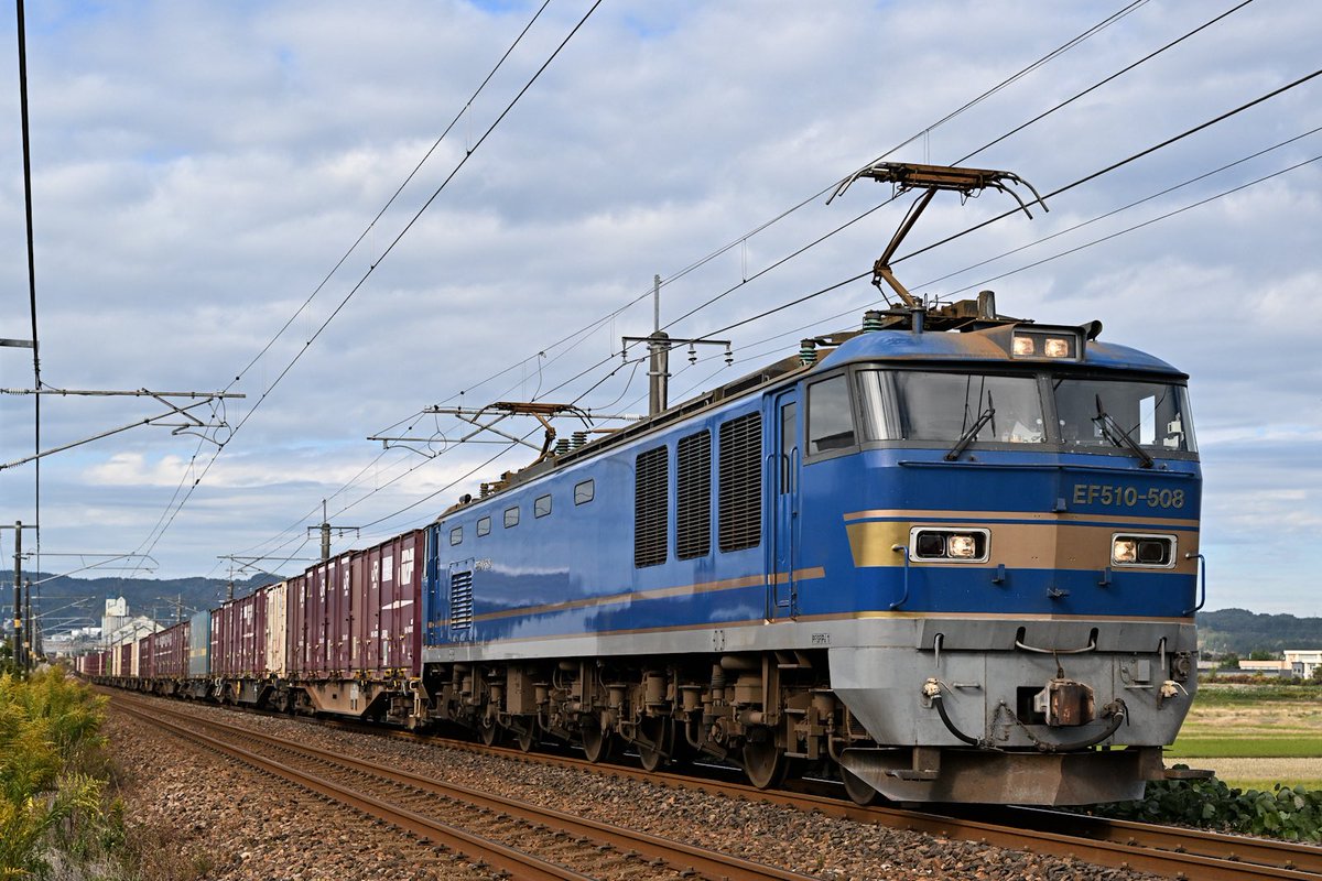 たまちゃん on X