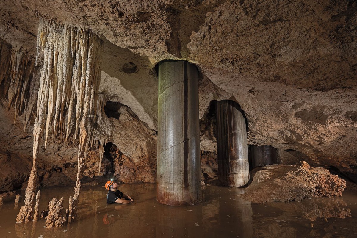 DANIELAJC1998's tweet photo. Imagina que durante la colocación de estos pilares se perforaron innumerables cenotes afectando la fauna que habitaba tanto afuera como adentro de las cavernas provocando su desplazamiento y la perdida de hábitats https://t.co/XtWbiw3YlI