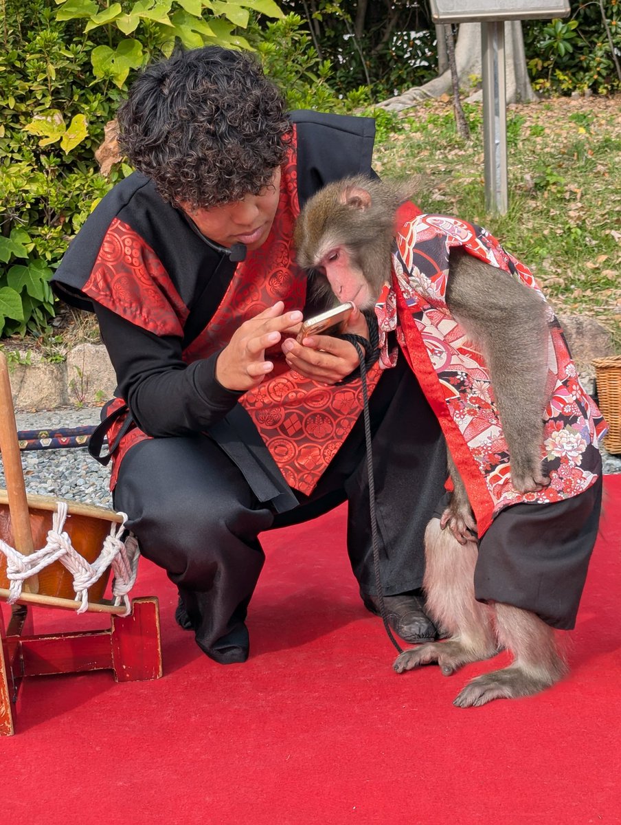 あけみん (@akemix315) / Posts / X