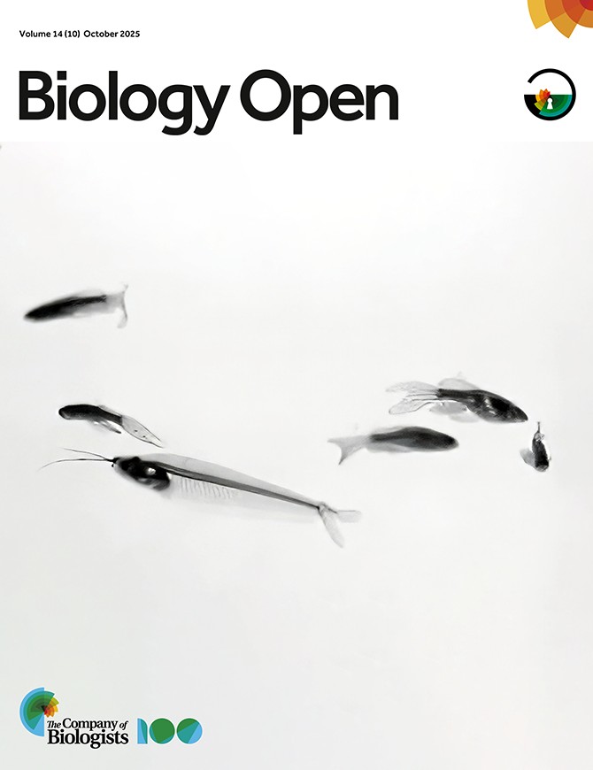 Our photo has been selected as the cover image for Biology Open! The image shows the prey-predator interaction between prey and predator in 3D locomotion tracking assay  journals.biologists.com/bio/issue/14/10