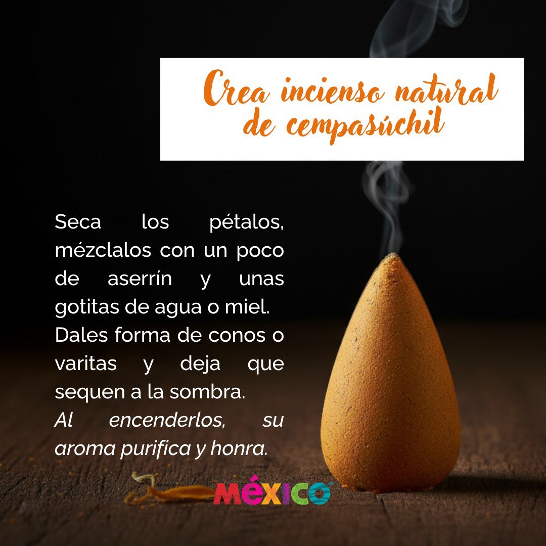 SECTUR_mx's tweet image. 🌼♻️ Dale nueva vida al cempasúchil.

Las flores que iluminaron nuestros altares aún pueden seguir floreciendo por México. Después del #DiaDeMuertos, recíclalas; conviértelas en composta, abono natural o úsalas para elaborar tintes artesanales.

Cada pétalo cuenta para cuidar