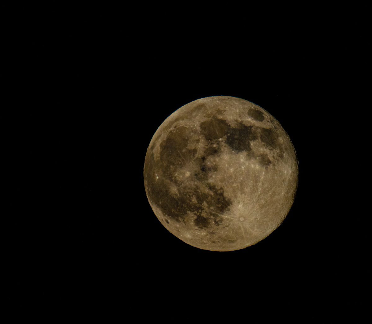 RonFairchild's tweet photo. SuperMoon thru the eyes of......well...........Me https://t.co/Kex2tl5HqZ