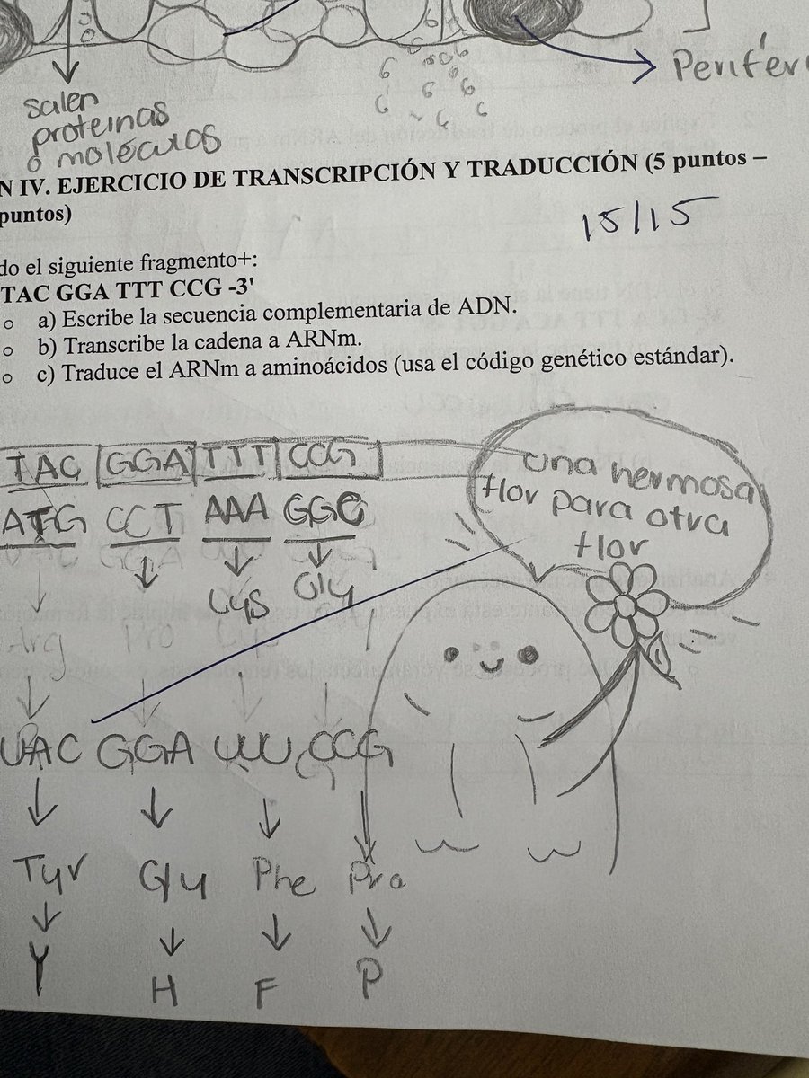 Lo que se encuentra uno en los exámenes