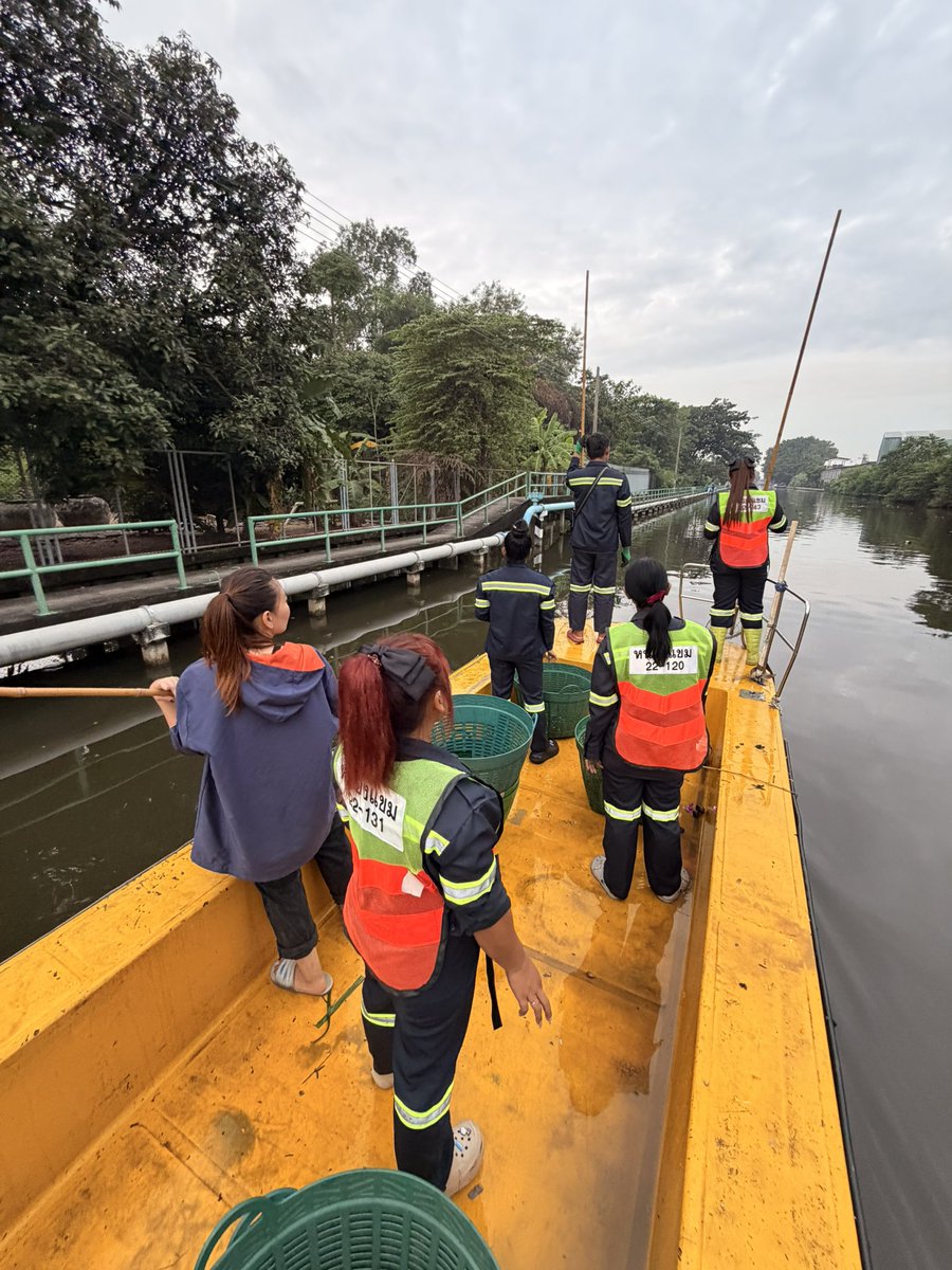 เช้านี้ขอติดเรือพี่ฝ่ายรักษาเขตหนองแขมเก็บกระทงและล่าเหรียญ