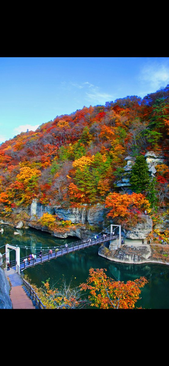 のぶちゃん様の専用ページ のぶちゃん (@Zxn9LICKUfwObuY) / Posts / X