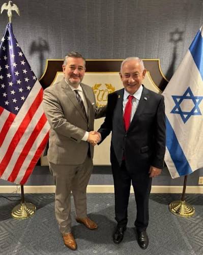 B0rt🦛🟠 tweet media