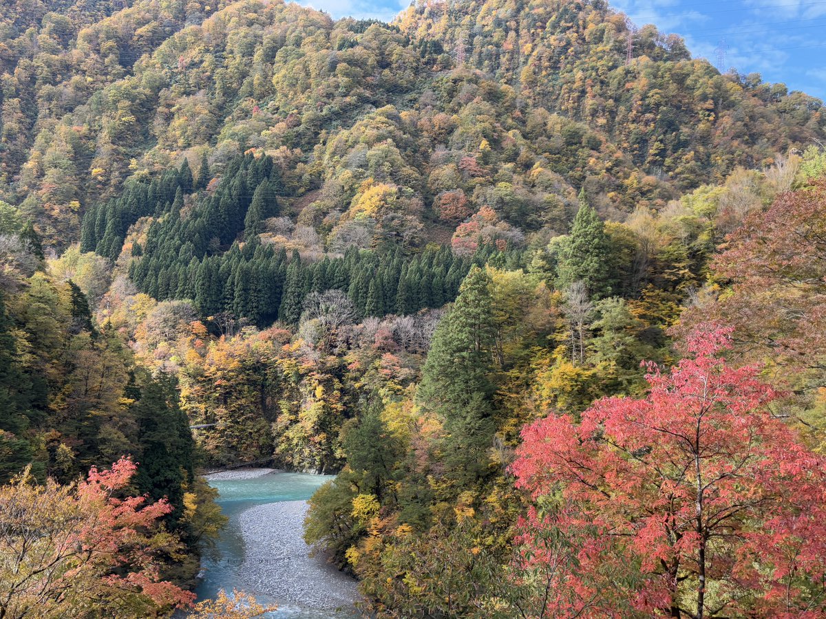 torokkodensya's tweet image. 今日はトロッコ電車🚃からの車窓風景を紹介🎶📸紅葉も見頃ですね〜🍁😊

#黒部峡谷トロッコ電車